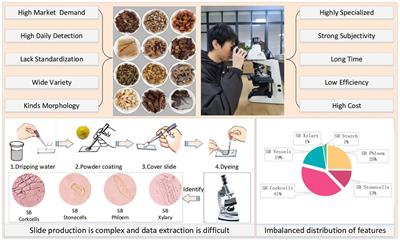 A segmentation-combination data augmentation strategy and dual attention mechanism for accurate Chinese herbal medicine microscopic identification